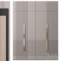 the front and side view of a modern door with metal bars on each paneling