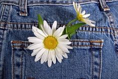 a white flower sticking out of the back pocket of someone's jean jeans pants