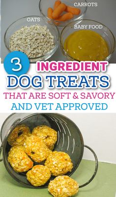 dog treat recipes easy Soft Dog Treats For Senior Dogs, Carrot Cake Dog Treats, Soft Puppy Treats Homemade, Homemade Dog Treats For Joints, Baby Food Dog Treats Recipes, Diy Soft Dog Treats, Soft Dog Treats Homemade Easy, Carrot Dog Treats Recipes, Chewy Dog Treats Homemade