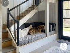 a dog laying on top of a couch under a stair case next to a window