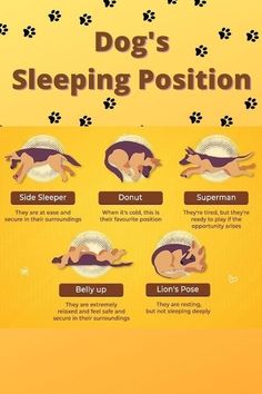 a dog's sleeping position is shown in this graphic diagram, which shows how to use