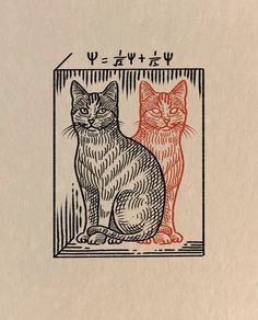 two cats sitting next to each other on top of a piece of paper with chinese writing