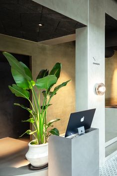 a laptop computer sitting on top of a white table next to a potted plant