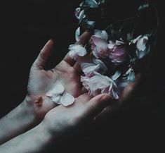 a person holding flowers in their hands on a dark background with only one flower left