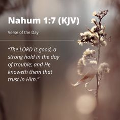 a quote from the bible about nauhm 17 kjv, verse of the day