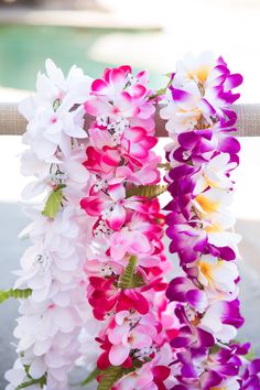 several different colored flowers hanging from a fence