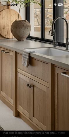 a kitchen sink sitting under a window next to a counter top with a potted plant on it