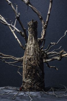 a dead tree with no leaves in front of a dark background and the branches are bare