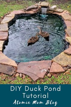 two ducks swimming in a pond with rocks around it and the words, diy duck pond