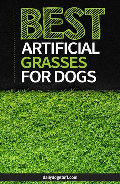 the best artificial grass for dogs is shown in front of a black background with green grass