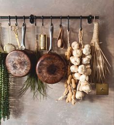 several cooking utensils hanging on a wall with garlic, mushrooms and other spices