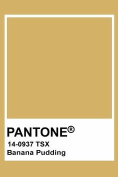 pantone's banana pudding is shown with the words, pantone on it