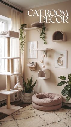 a cat tree in the corner of a room with plants and pictures on the wall