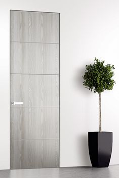 a potted plant sitting next to a white wall with a glass paneled door