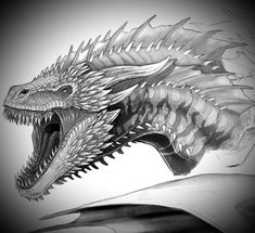 a drawing of a dragon with its mouth open