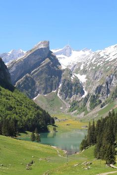 the mountains are covered in snow and green grass, with a lake surrounded by pine trees