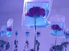 flowers in vases with blue water and red roses hanging from the ceiling above them