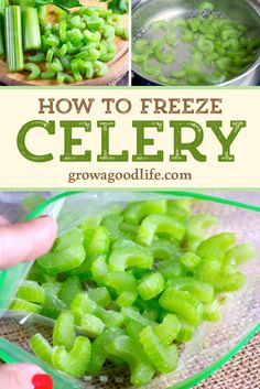 how to freeze celery in the microwave is easy and delicious, so it can be used as an appetizer or side dish