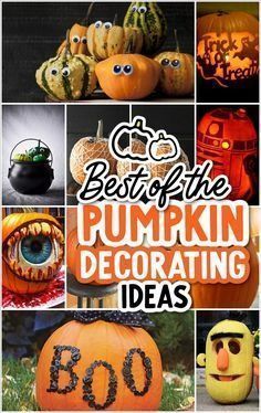 the best of the pumpkin decorating ideas