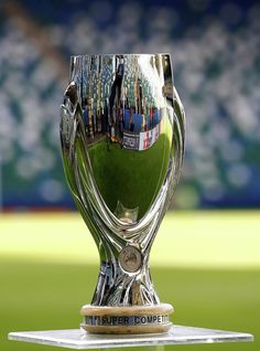 a silver trophy sitting on top of a metal stand in front of a green field