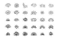 the different types of water lilies are shown in black and white on a white background