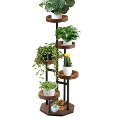 three tiered plant stand with potted plants