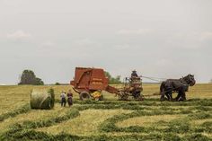 two horses pulling a wagon with hay in the middle of a field