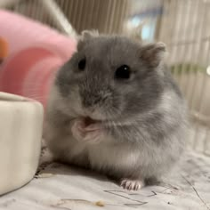 a small hamster sitting on top of a table next to a cup