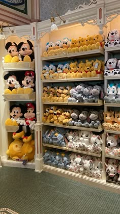 the shelves are filled with many different kinds of mickey mouses and other stuffed animals