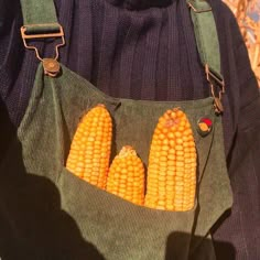 two ears of corn are in the pocket of an apron