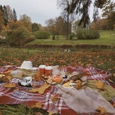 a picnic blanket on the ground with food and drinks laid out in front of it