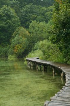 a long wooden dock sitting next to a river surrounded by green trees in the forest