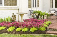 a garden with flowers and plants in front of a white brick house that says 6 - 8 weeks after planting