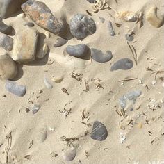 some rocks and sand on the beach with little grass growing in between them, as well as small shells