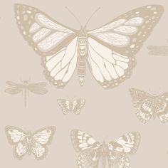 butterflies and dragonflies on a beige background