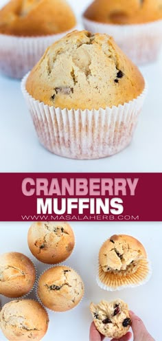 cranberry muffins with blueberries in the middle and one being held up