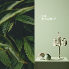 two vases sitting on top of a table next to a plant with green leaves