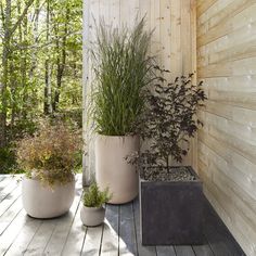 two large planters sitting on top of a wooden deck