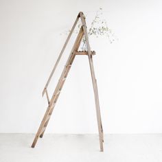 a wooden ladder with flowers in it against a white wall, next to a potted plant