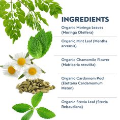 an image of herbs and their benefits