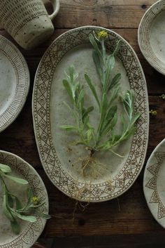 several plates with plants growing out of them on a wooden table top next to cups and saucers