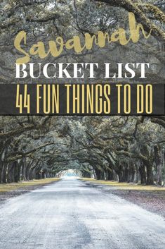 a road with trees and the words savannah bucket list 4 fun things to do on it