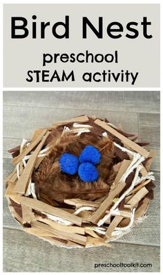 a bird nest with two blue eggs in it and the words, preschool steam activity