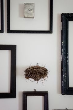 there is a bird's nest on the wall next to three framed pictures and a light switch