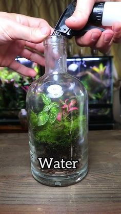 two hands are holding a bottle with plants in it and another hand is using a device to test the water