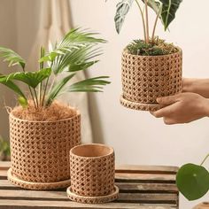 a person holding two planters with plants in them on top of a wooden table