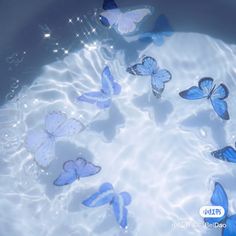 several blue butterflies floating in water with bubbles