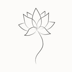 the outline of a flower on a white background