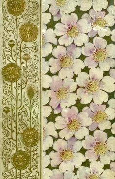 an old book with flowers on it and gold trimming around the edges, in front of a green background