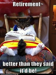 a cat is sitting on top of a chair and reading a book with the caption retirement better than they said it'd be